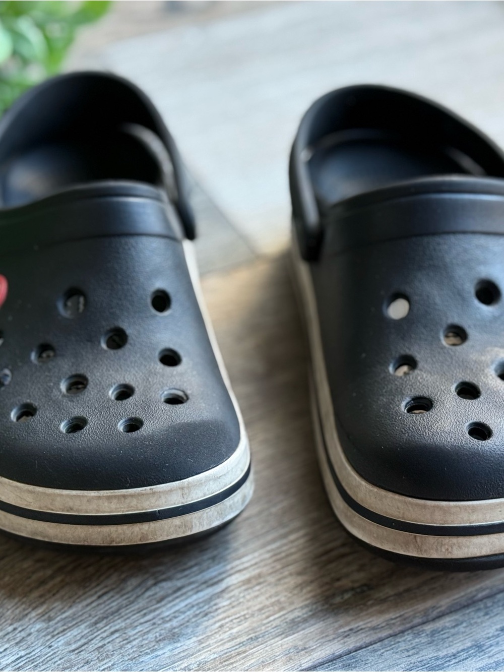 CROCS Kids Black Classic Clogs with White Trim